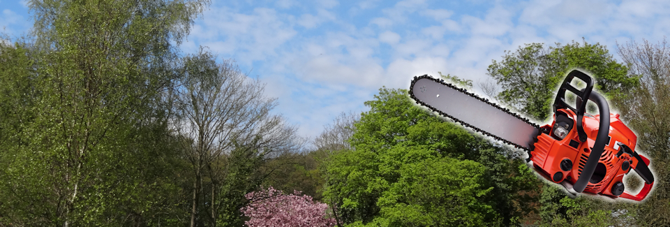 Tree Surgery Services from Pope Brothers Ltd of Chesterfield